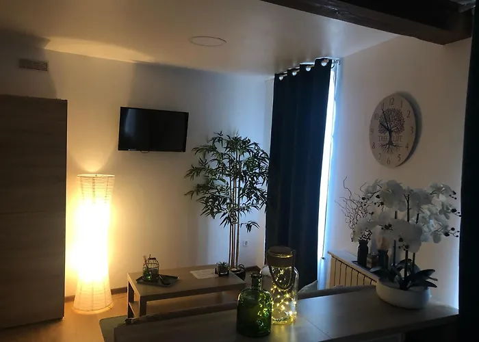Amis De La Moselle Appartement