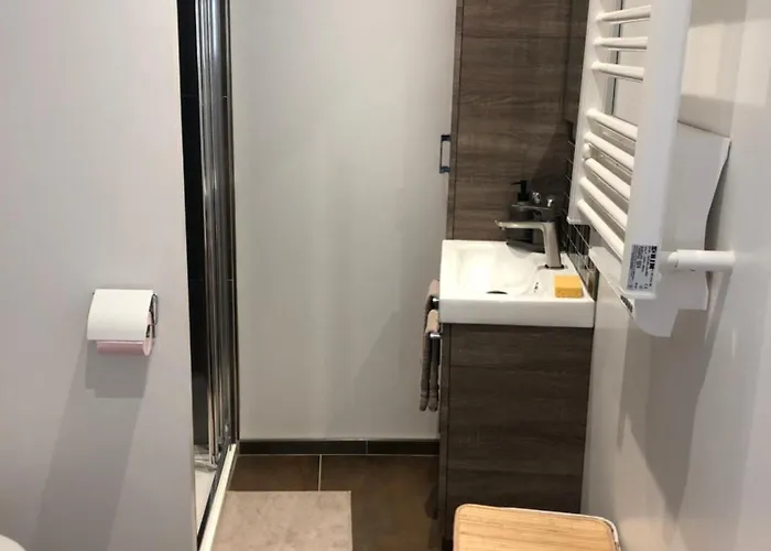 Amis De La Moselle Appartement